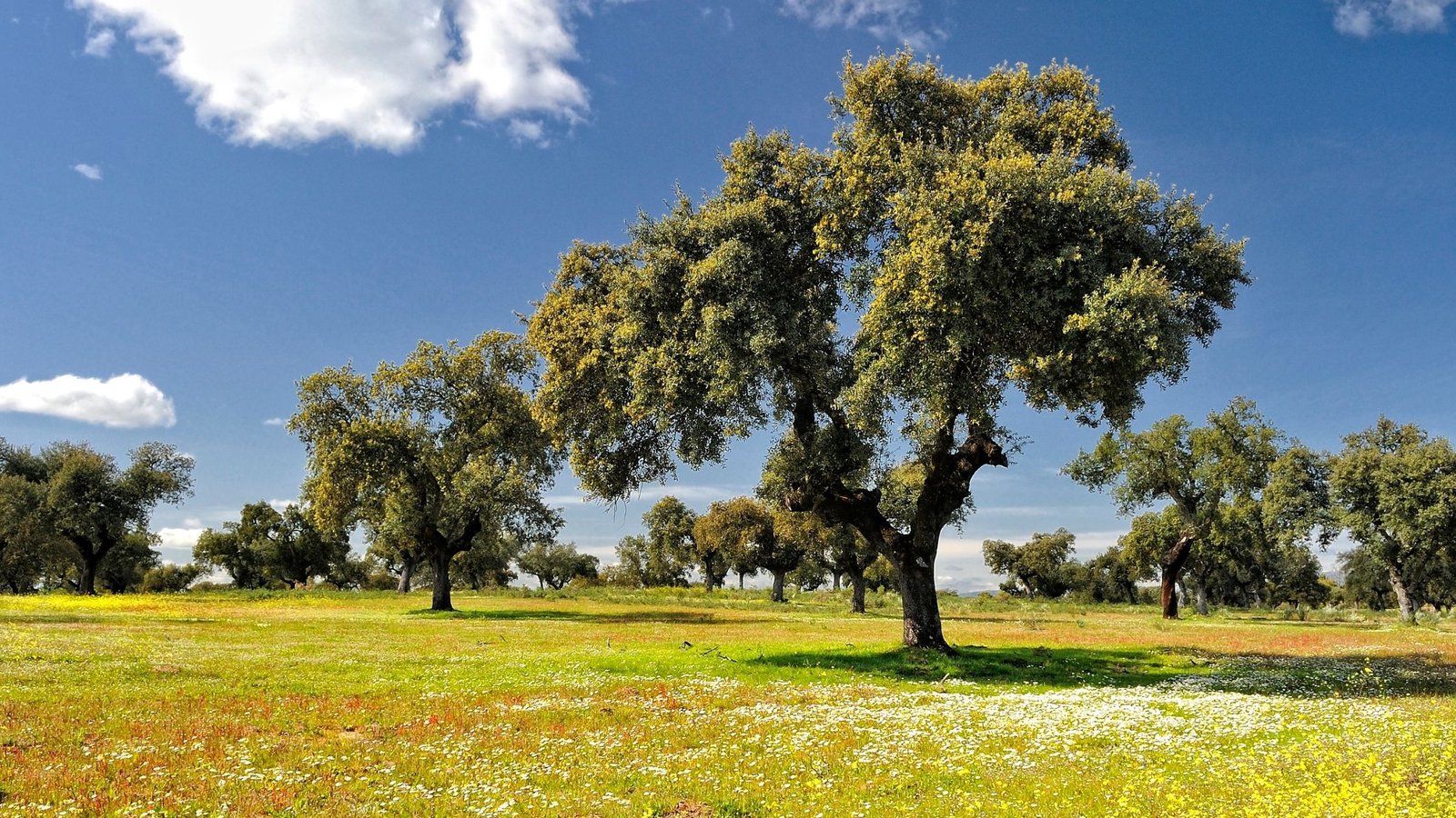 Turismo en extremadura