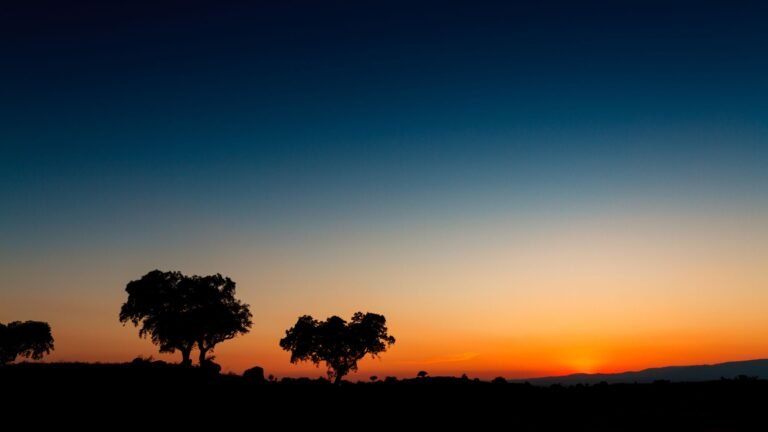 Descubre la Infinita Belleza de Extremadura con Canal Extremadura