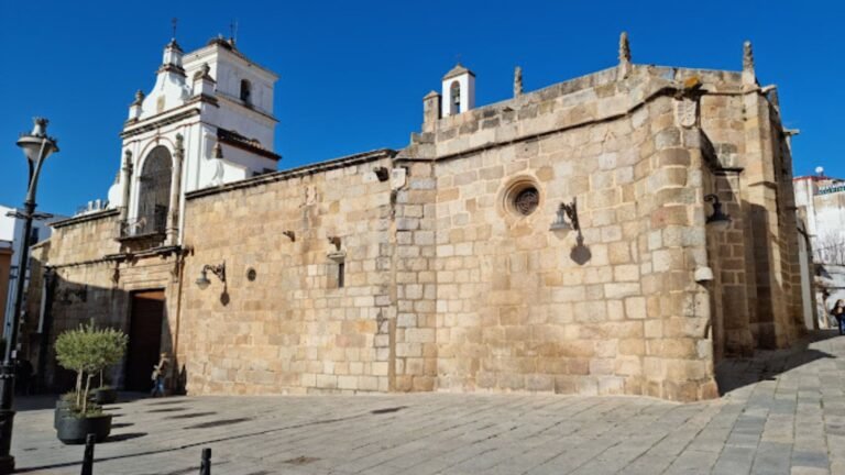 Concatedral de Santa Maria 768x432