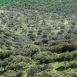 Los mejores planes para un fin de semana en Extremadura