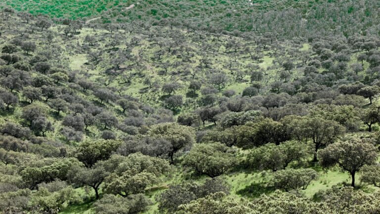 Los mejores planes para un fin de semana en Extremadura