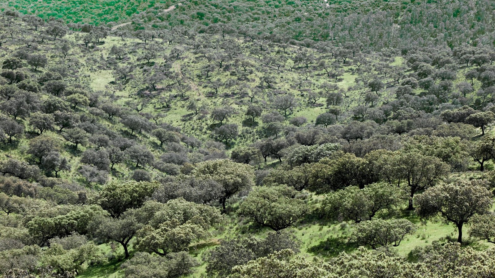 Los mejores planes para un fin de semana en Extremadura